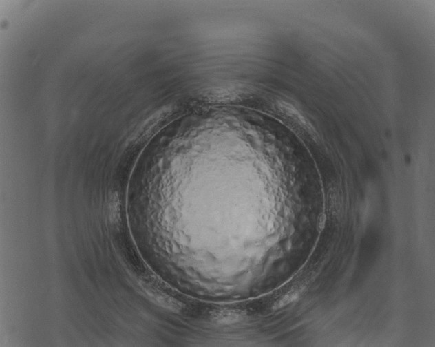 X0000073930549200608181117