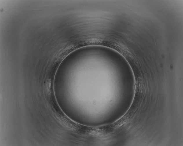 X0000073930550200608181117