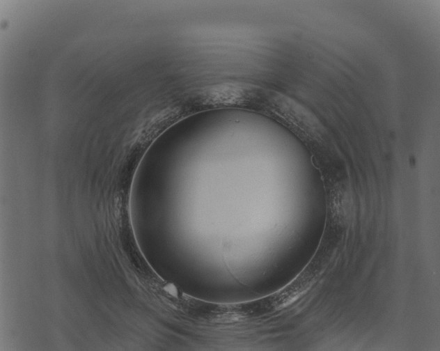 X0000073930551200608181117