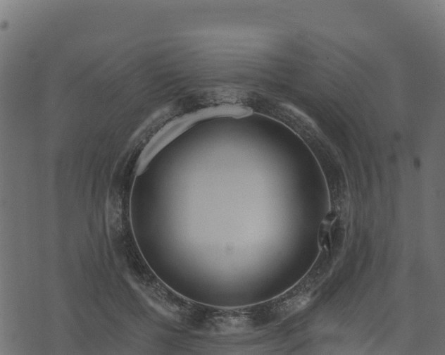 X0000073930552200608181117