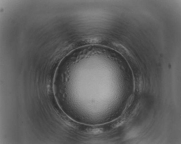 X0000073930553200608181117