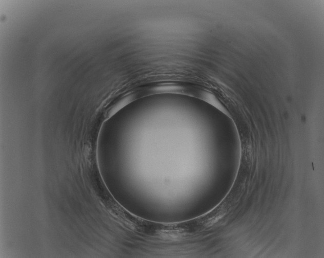 X0000073930556200608181117