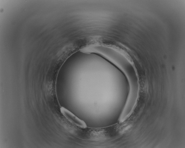 X0000073930560200608181117