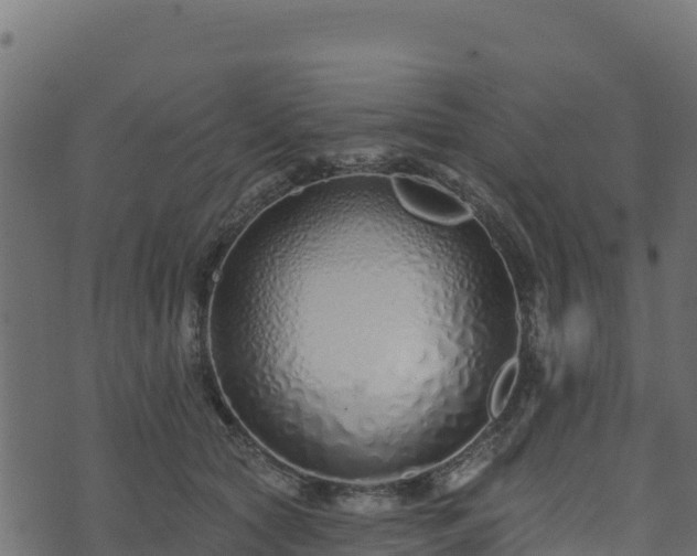 X0000073930561200608181117