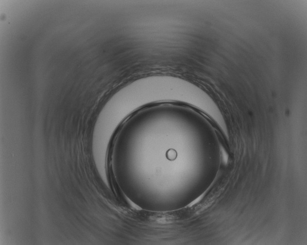 X0000073930564200608181117