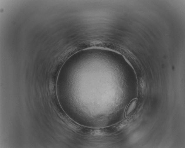 X0000073930565200608181117