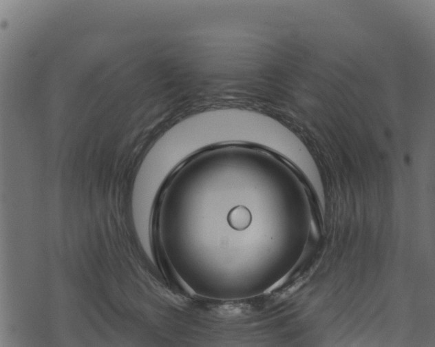 X0000073930566200608181117