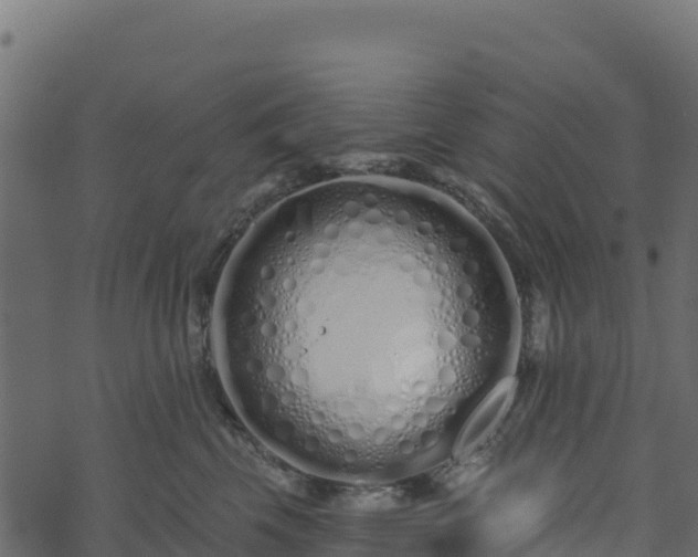 X0000073930569200608181117