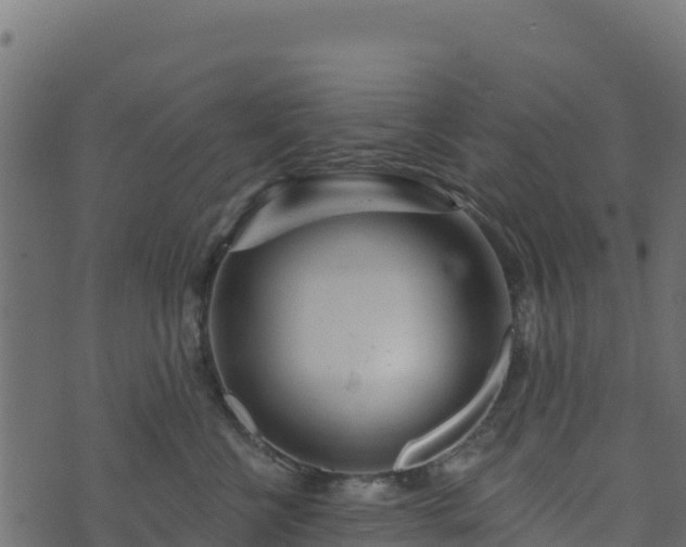 X0000073930570200608181117