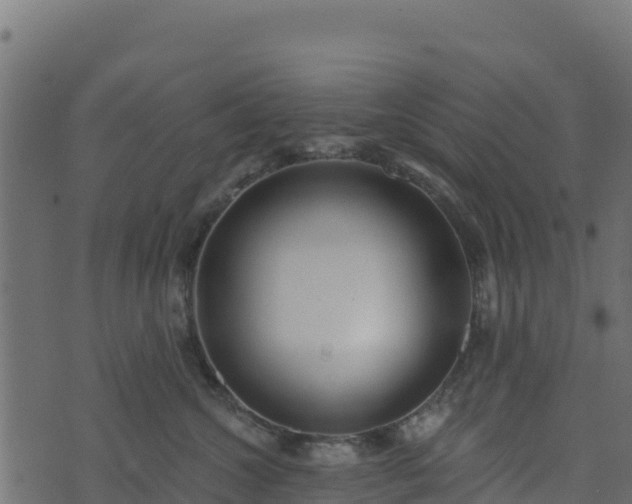 X0000073930572200608181117