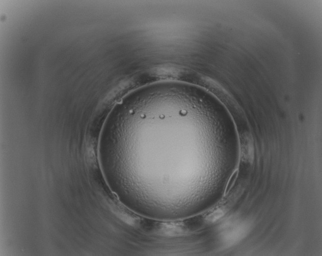 X0000073930573200608181117