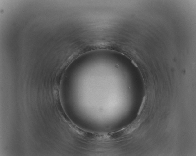 X0000073930576200608181117