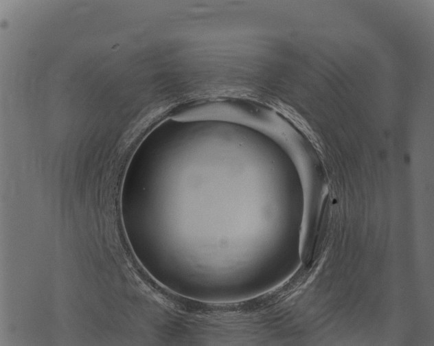 X0000073930577200608181116