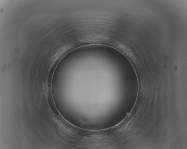 X0000073930578200608181116