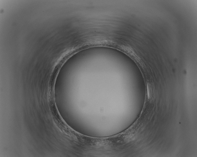 X0000073930579200608181116