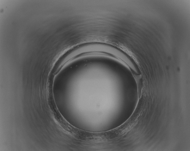 X0000073930580200608181116