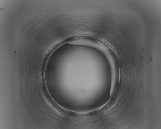 X0000073930581200608181116