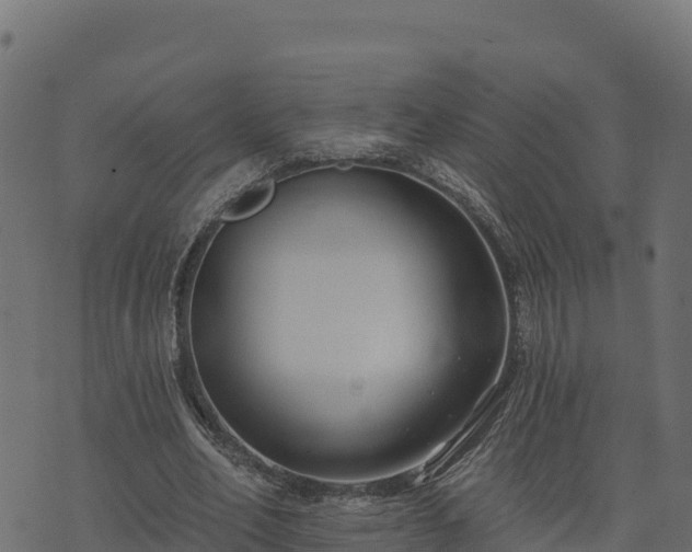 X0000073930582200608181116