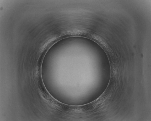 X0000073930583200608181116