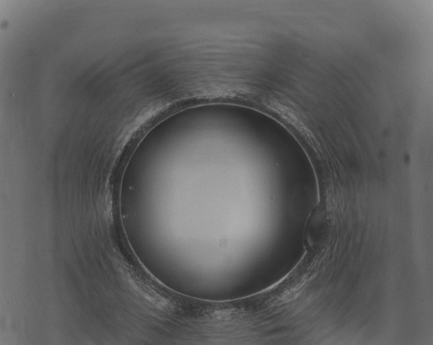 X0000073930584200608181116