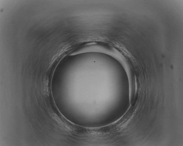 X0000073930585200608181116