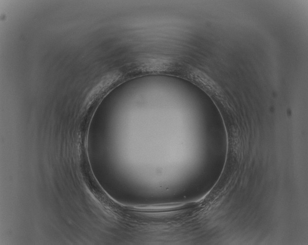 X0000073930586200608181116