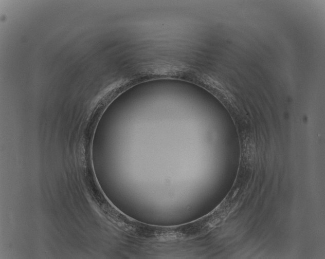 X0000073930587200608181116