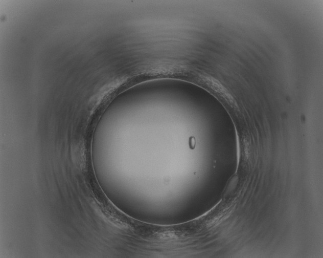 X0000073930588200608181116