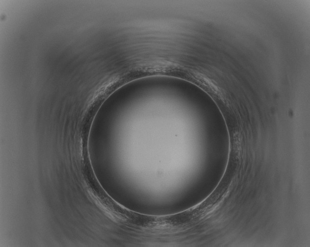 X0000073930589200608181116