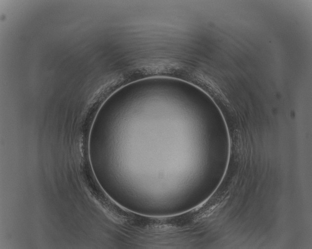 X0000073930590200608181116