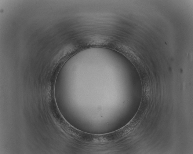 X0000073930591200608181116