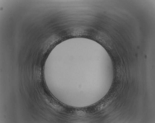 X0000073930592200608181116