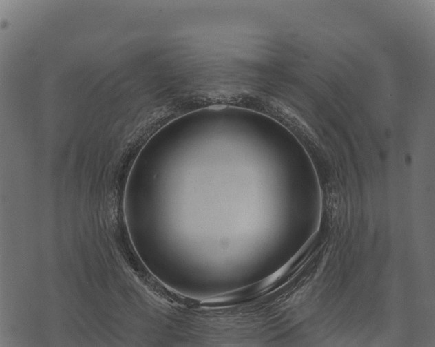 X0000073930593200608181116