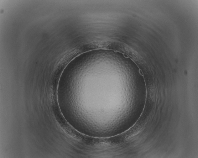 X0000073930594200608181116