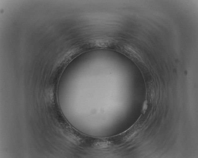 X0000073930595200608181116