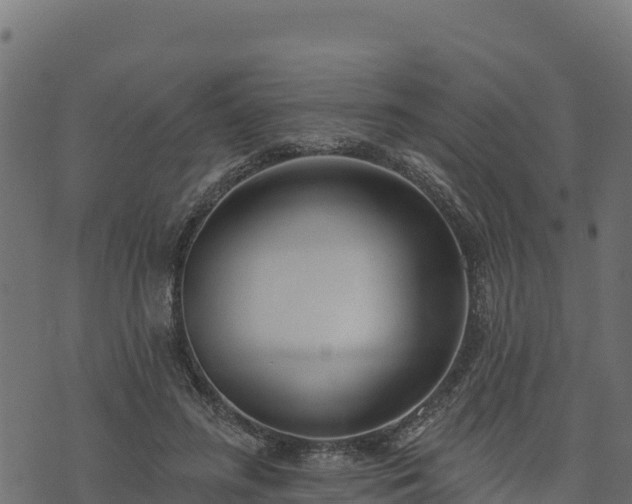 X0000073930596200608181116