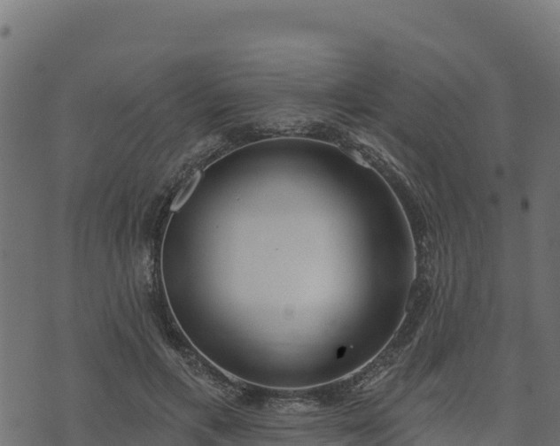 X0000073930597200608181116