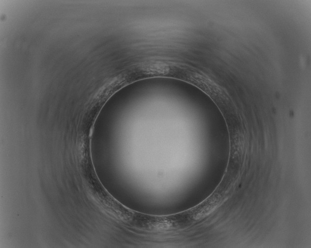 X0000073930600200608181116