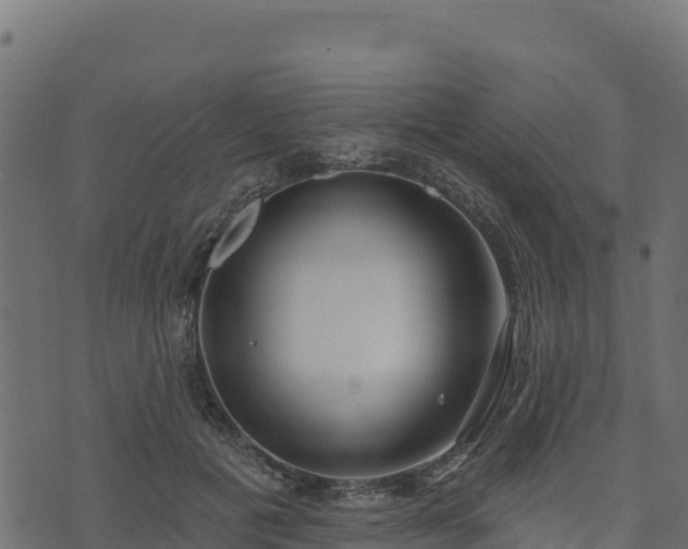 X0000073930601200608181116