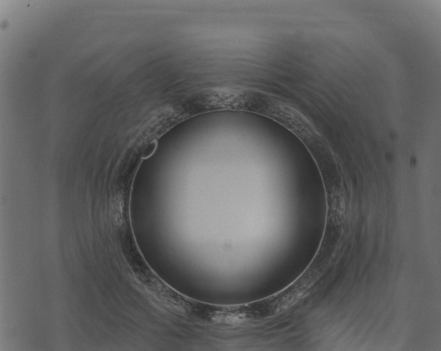 X0000073930602200608181116