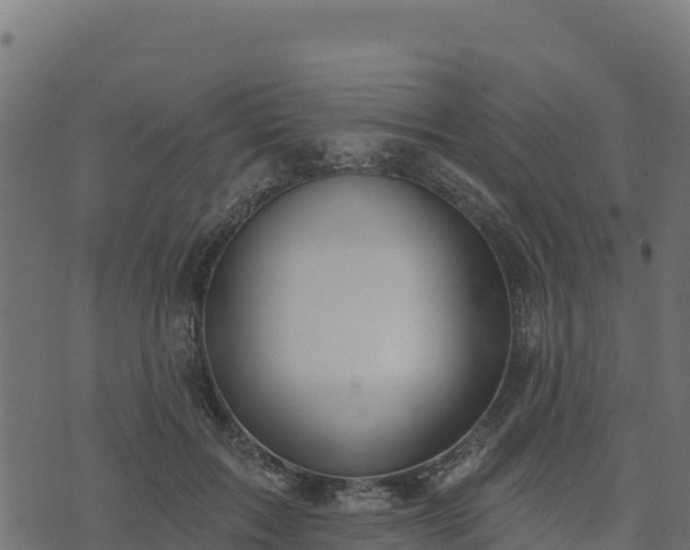 X0000073930603200608181116