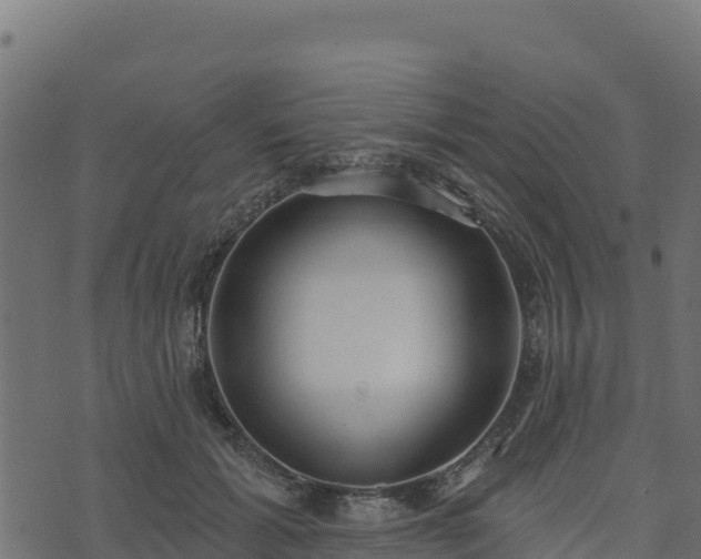 X0000073930605200608181116