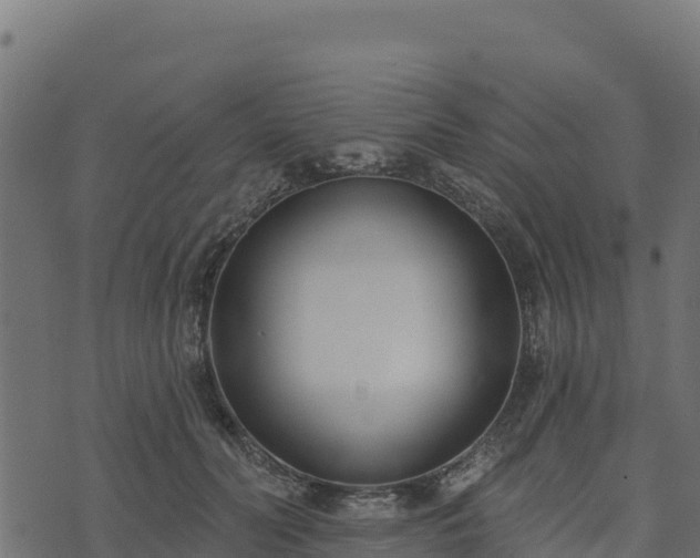 X0000073930606200608181116