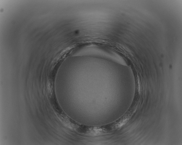 X0000073930607200608181116