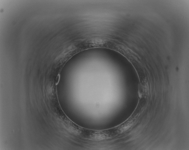 X0000073930608200608181116