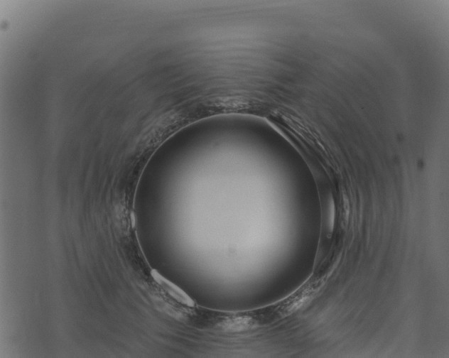 X0000073930609200608181116