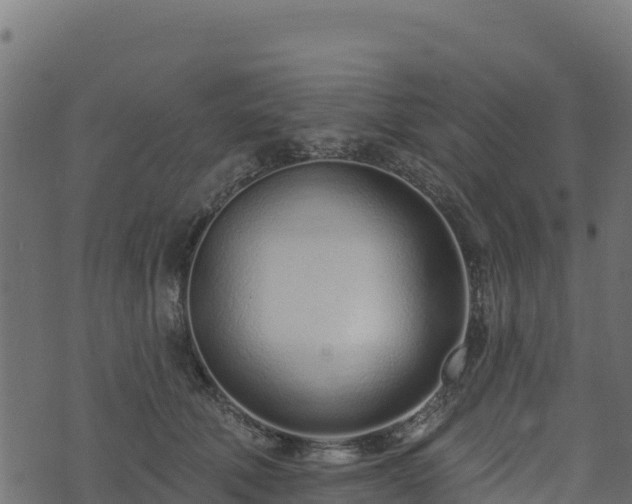 X0000073930610200608181116