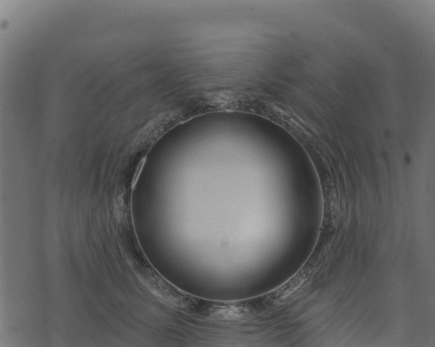 X0000073930611200608181116