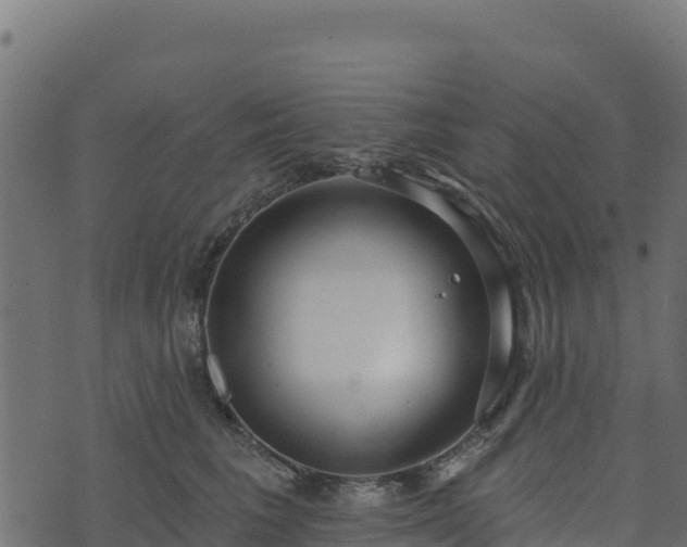 X0000073930613200608181116