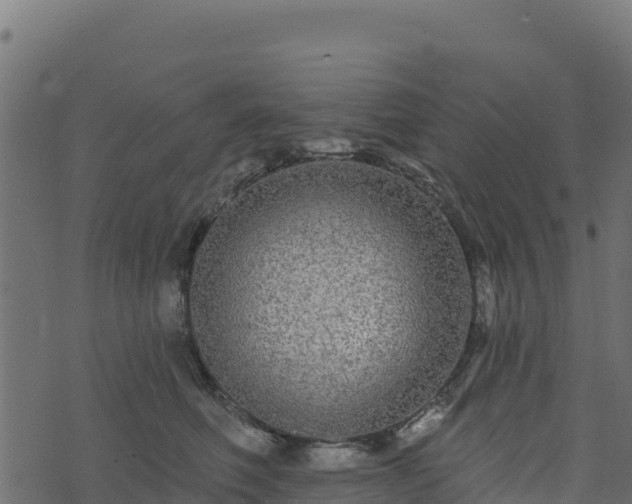 X0000073930614200608181116